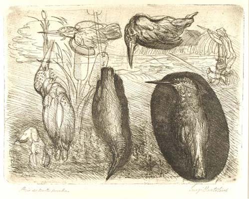Bartolini Luigi - Storia del Martin Pescatore